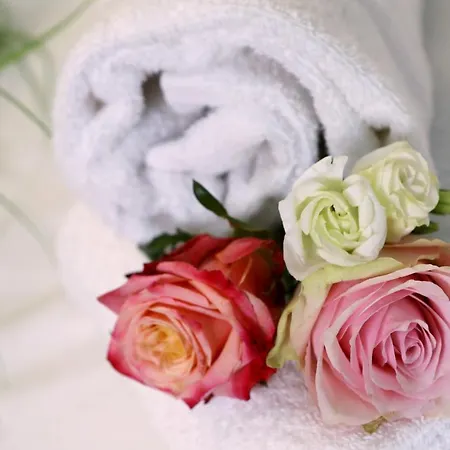 Lejlighed City Appartements Villach Villach